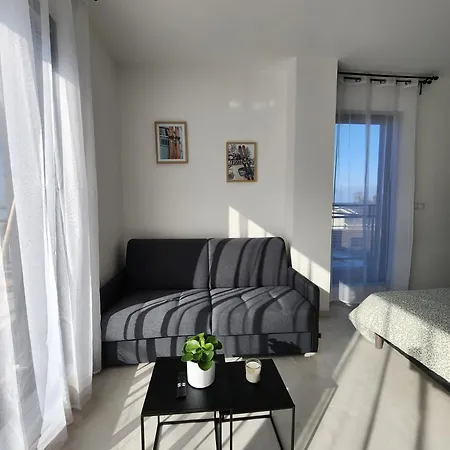Lumineux Avec Grande Terrasse Et Vue Lac, Parking Privé