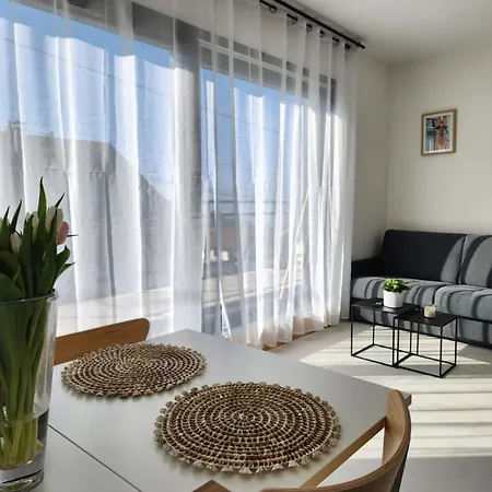 Lumineux Avec Grande Terrasse Et Vue Lac, Parking Prive Appartement
