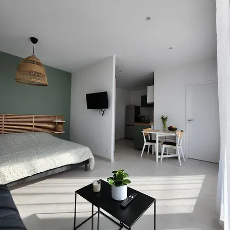 Appartement Lumineux Avec Grande Terrasse Et Vue Lac, Parking Prive