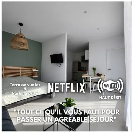 Appartement Lumineux Avec Grande Terrasse Et Vue Lac, Parking Prive